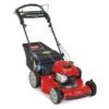 Toro Recycler Self-Propelled Mower 163cc Briggs & Stratton 7.25 TP (22″) #21462