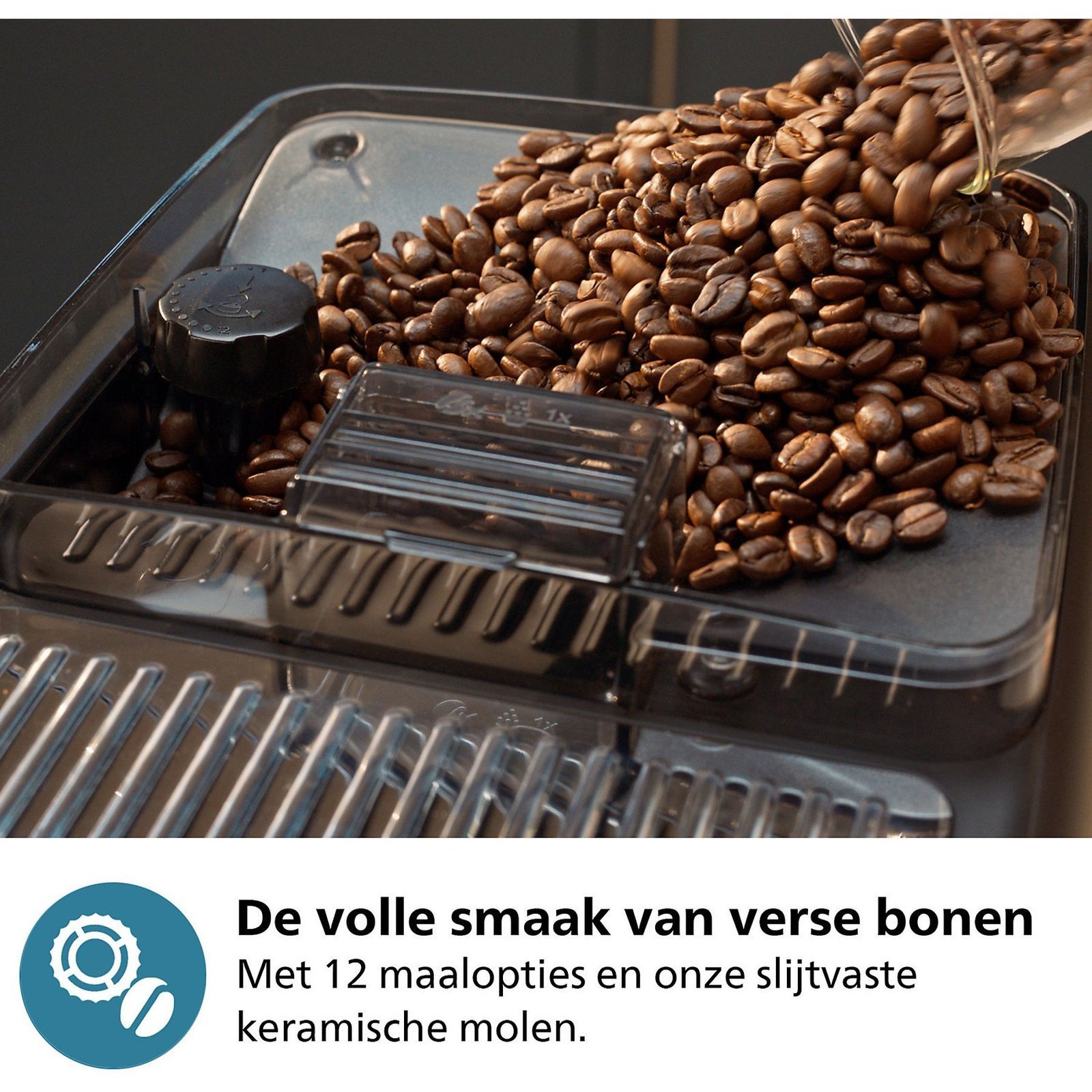 ASSET_MMS_154138089
