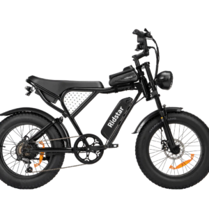 Ridstar Q20 Electric Bike