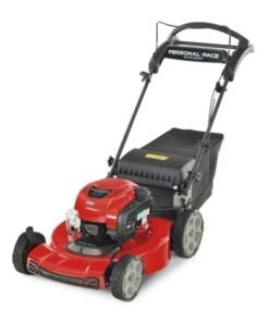 Recycler 22 in Briggs And Stratton Personal Pace Rear Wheel Drive Gas Self Propelled Lawn Mower